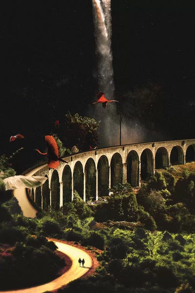 Waterfalls: Wilderness by Fran Rodriguez