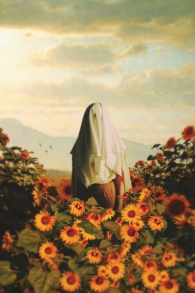 Groc by Fran Rodriguez canvas print