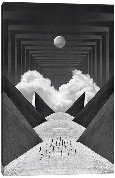 Singularity Canvas Art Print - Fran Rodriguez
