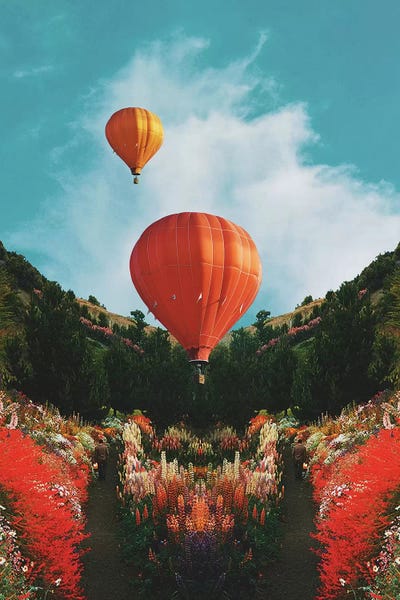 Hot Air by Fran Rodriguez framed canvas print