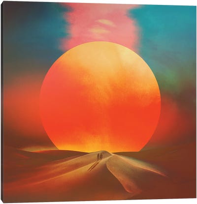 Setting Sun Canvas Art Print - Fran Rodriguez