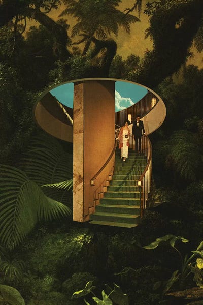 Staircases: Into The Wild by Fran Rodriguez