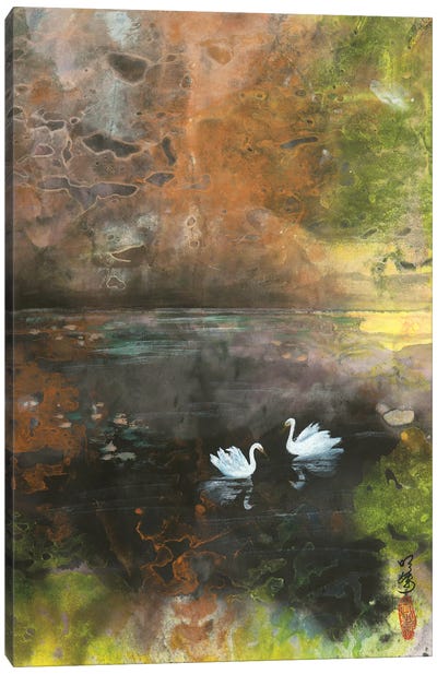 Swan Lake Canvas Art Print - Ming Franz