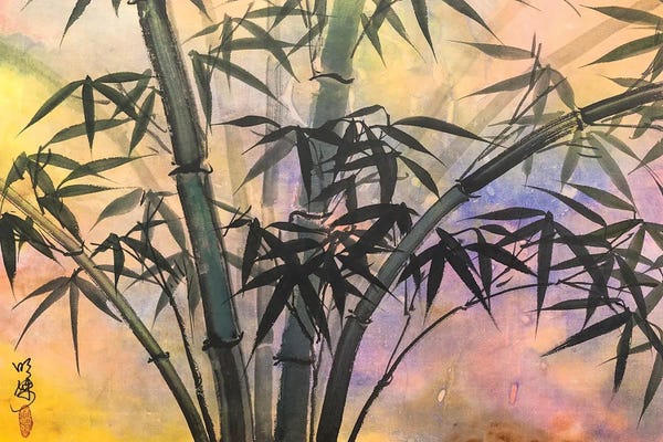 Bamboo: Greetings by Ming Franz