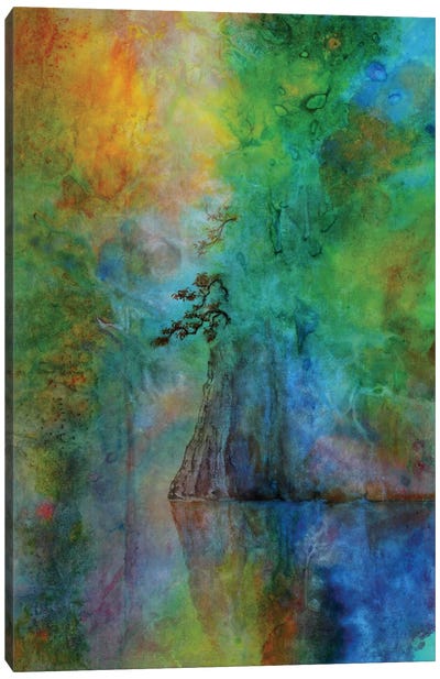 Spring Gorge Canvas Art Print - Ming Franz