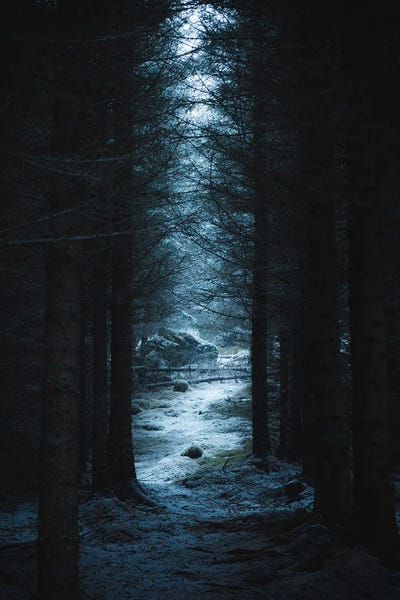 Steffen Fossbakk: Fairytale by Steffen Fossbakk