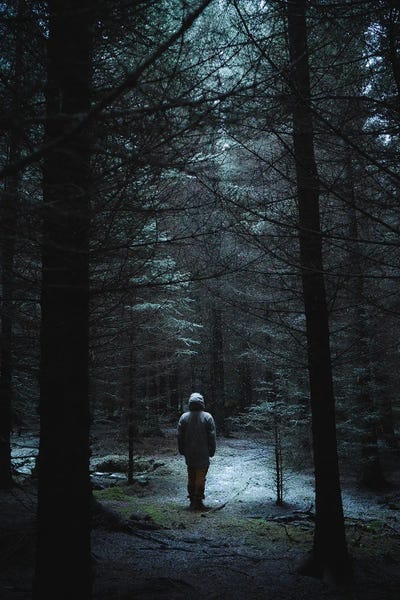 Lost In The Wild by Steffen Fossbakk framed canvas print