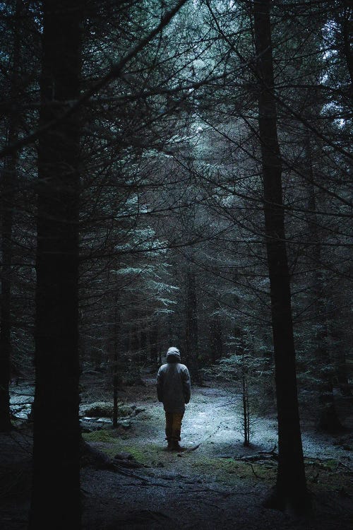 Lost In The Wild by Steffen Fossbakk wall art