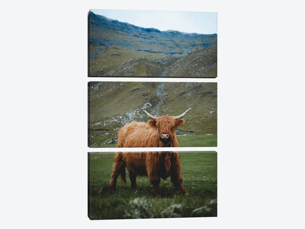 Highland Cattle (Summer) by Steffen Fossbakk 3-piece Canvas Wall Art