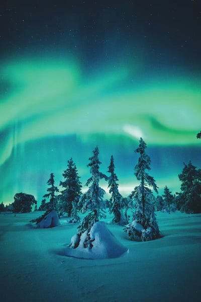 Family Portrait by Steffen Fossbakk canvas print