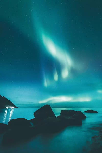 Steffen Fossbakk: Night Show by Steffen Fossbakk