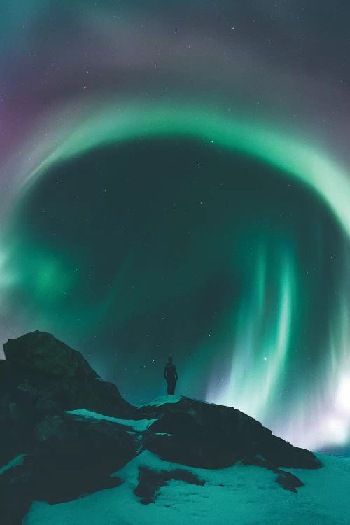 Aurora Portal, Senja, Norway