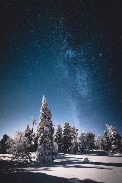 Winter Wonderland: Riisitunturi, Finland I by Steffen Fossbakk