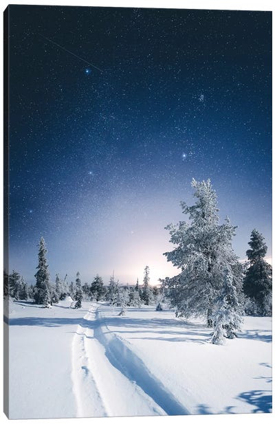 Riisitunturi, Finland II Canvas Art Print - Winter Wonderland