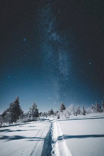 Finland: Riisitunturi, Finland III by Steffen Fossbakk