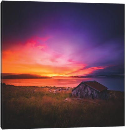 Senja Sunsets Canvas Art Print - Steffen Fossbakk