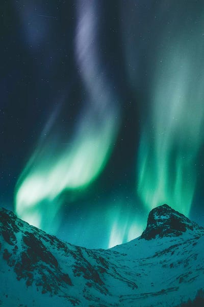 The Night Show by Steffen Fossbakk art print