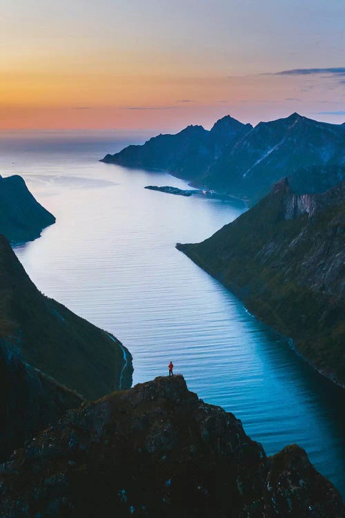 Fjords Of Senja by Steffen Fossbakk wall art