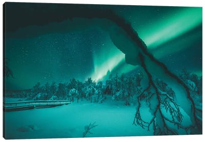 Framed By Nature Canvas Art Print - Aurora Borealis Art