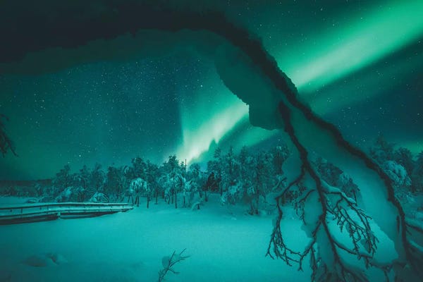 Steffen Fossbakk: Framed By Nature by Steffen Fossbakk