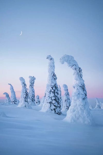 Frozen Dream by Steffen Fossbakk canvas print