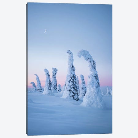 Frozen Dream Canvas Print #FSB73} by Steffen Fossbakk Canvas Print