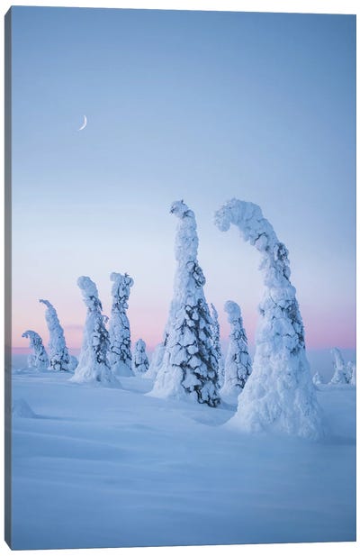 Frozen Dream Canvas Art Print - Winter Wonderland