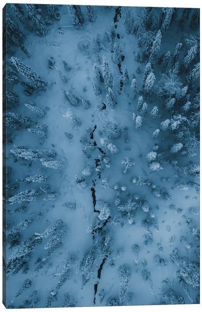 Frozen Forest, Finish Lapland Canvas Art Print - Finland