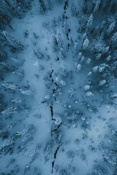Finland: Frozen Forest, Finish Lapland by Steffen Fossbakk