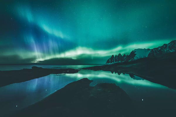 Steffen Fossbakk: Nights In The North by Steffen Fossbakk