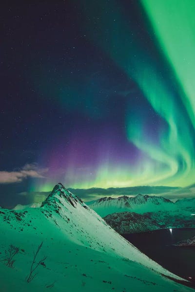 Nordic Dreams by Steffen Fossbakk canvas print