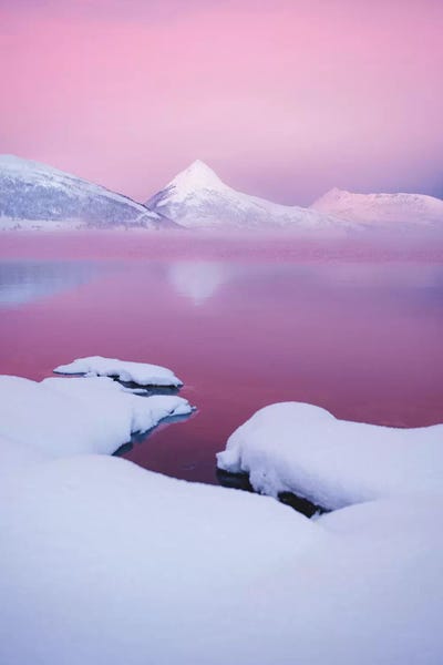 Pink Morning by Steffen Fossbakk framed canvas print