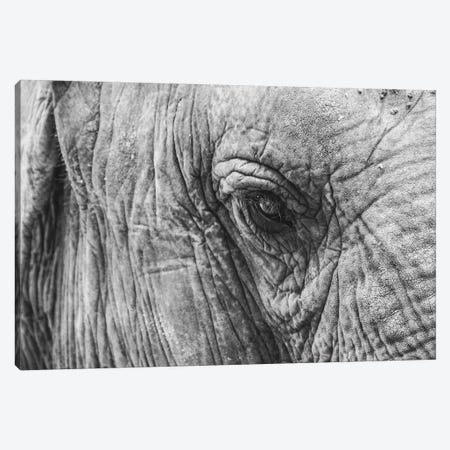 Elephant's Eye Canvas Print #FSC15} by Florian Schleinig Canvas Print