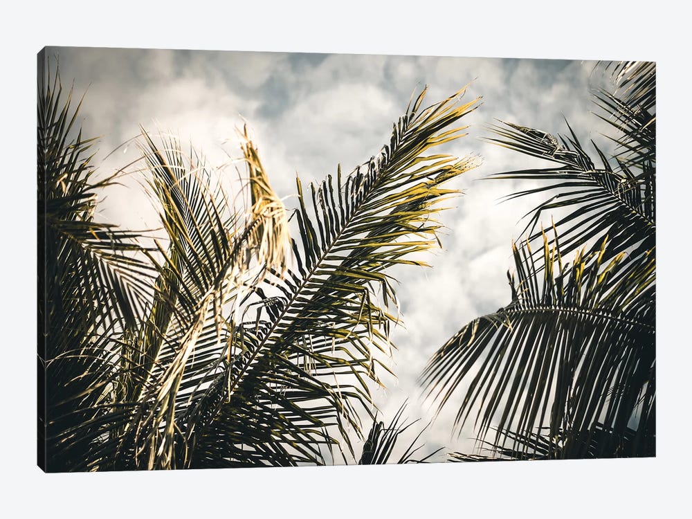 Palm Sky by Florian Schleinig 1-piece Canvas Art Print