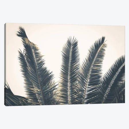 Palm Leaves Canvas Print #FSC74} by Florian Schleinig Canvas Art Print