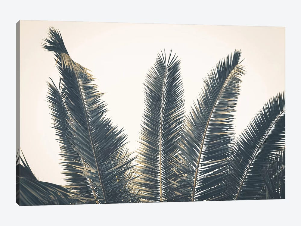 Palm Leaves by Florian Schleinig 1-piece Canvas Art Print