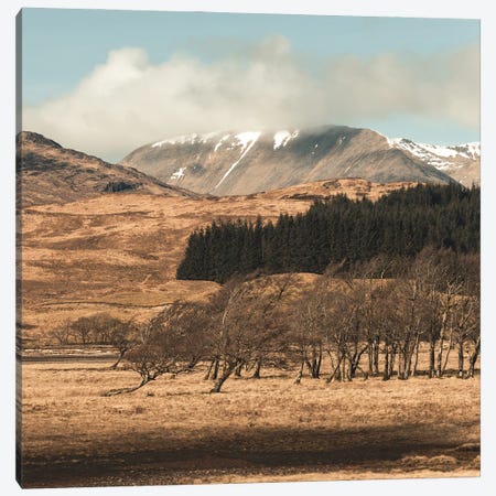 Scottish Highlands Canvas Print #FSC82} by Florian Schleinig Canvas Art Print