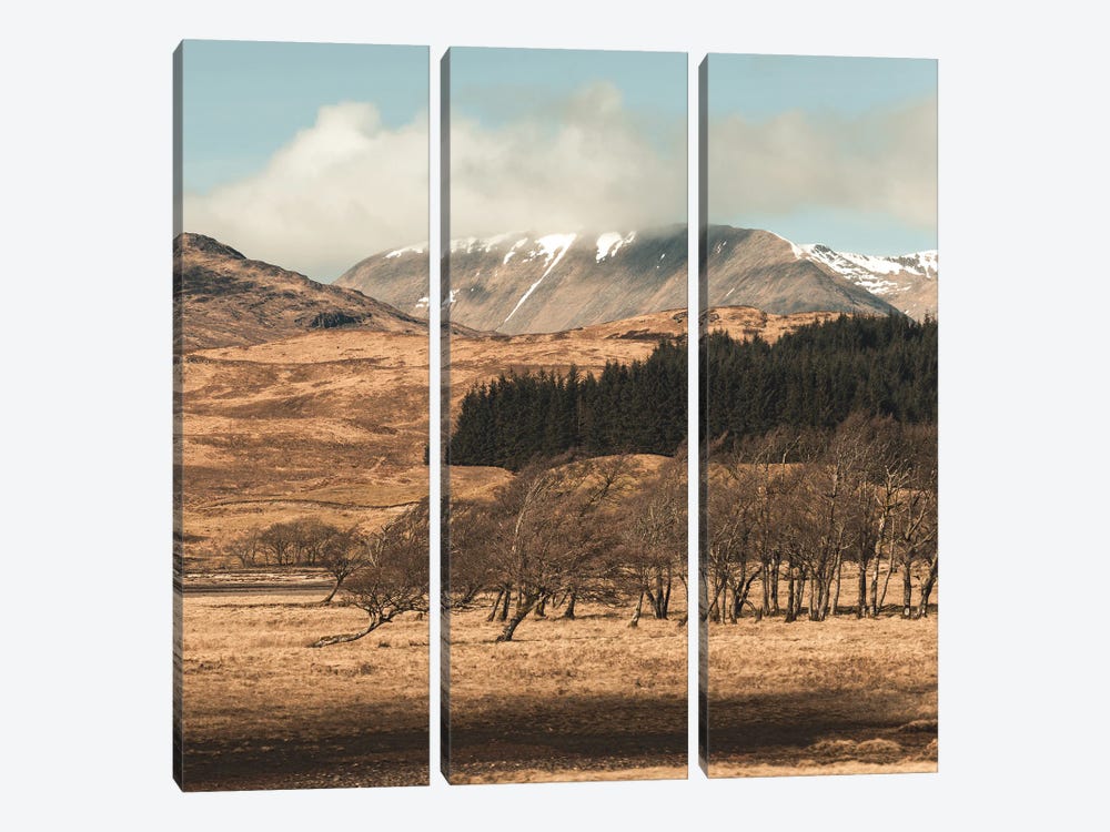 Scottish Highlands by Florian Schleinig 3-piece Canvas Artwork