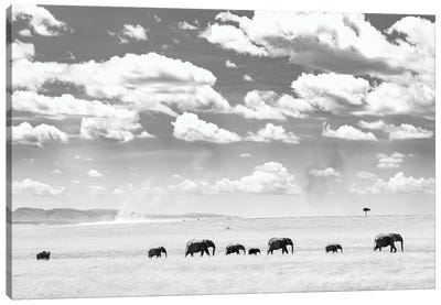 A Herd Of Masai Mara Elephants Canvas Art Print - Kenya