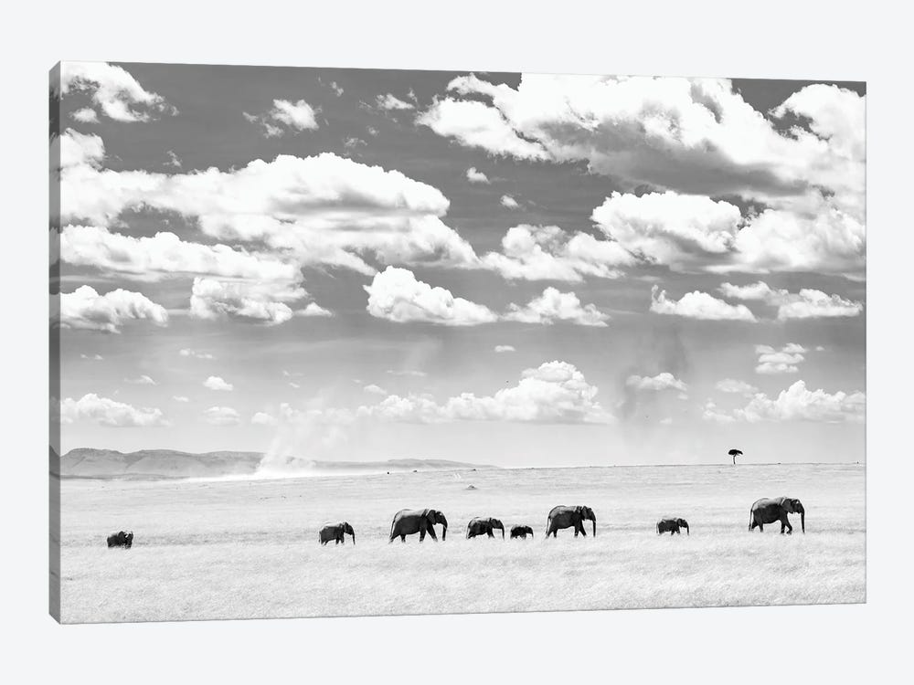 A Herd Of Masai Mara Elephants by Floris Smeets 1-piece Canvas Art