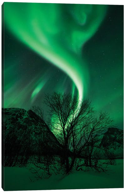 Northern Lights Dancing Over Senja Canvas Art Print - Norway