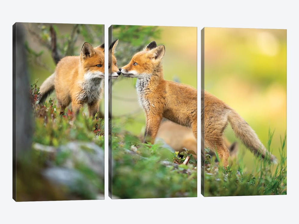 Sister Love by Floris Smeets 3-piece Canvas Wall Art