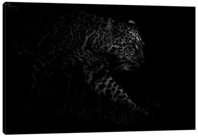 A Masai Mara Leopard Sneaking Through The Bushes Canvas Art Print - Maasai Mara National Reserve