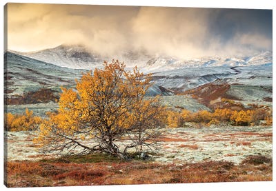 Sunrise Over An Autumn Landscape In Rondane National Park Norway Canvas Art Print - Norway Art