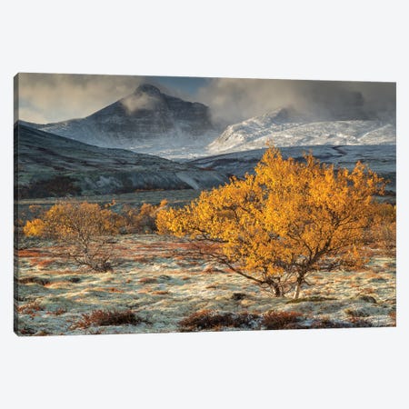 Autumn Landscape In Rondane National Park Norway Canvas Print #FSM65} by Floris Smeets Canvas Wall Art