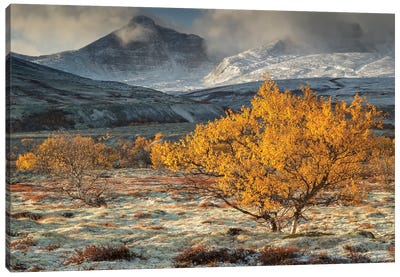 Autumn Landscape In Rondane National Park Norway Canvas Art Print - Floris Smeets