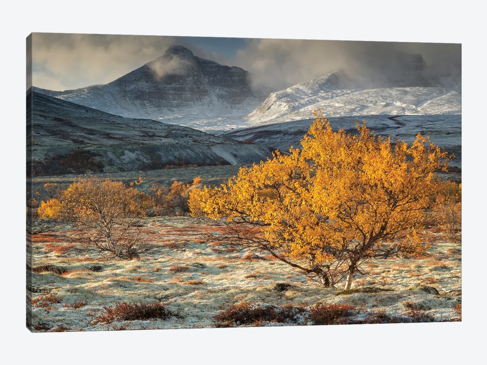 Autumn Landscape In Rondane National Park Norway by Floris Smeets 1-piece Canvas Art