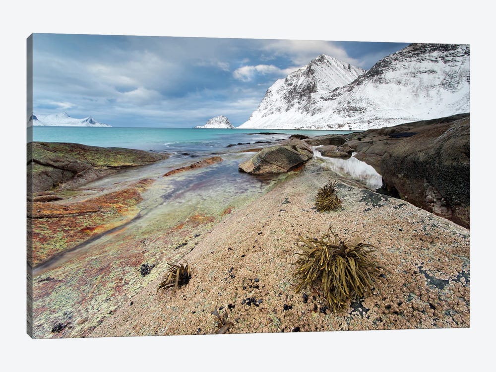 Coast Landscape At Lofoten by Floris Smeets 1-piece Canvas Wall Art