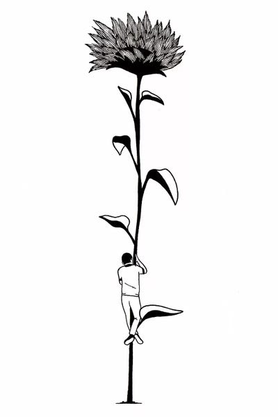 Crude Humor: Achievements by Filippo Spinelli