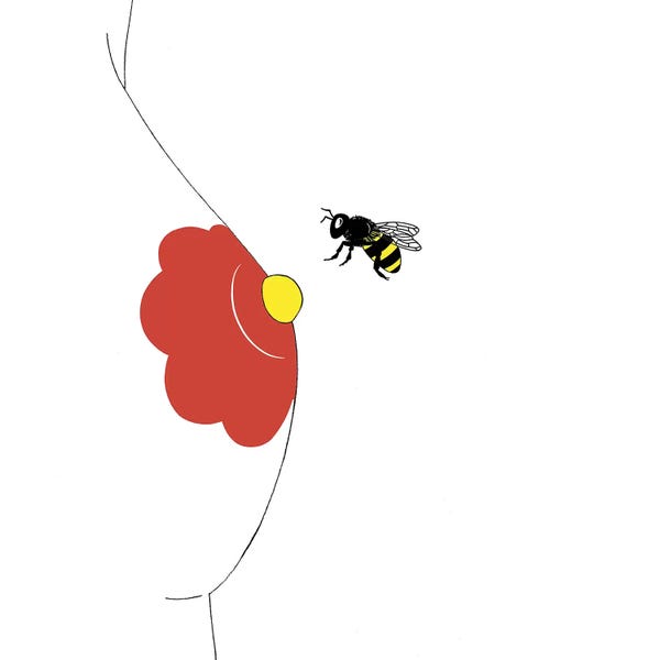 Crude Humor: Pollinate by Filippo Spinelli